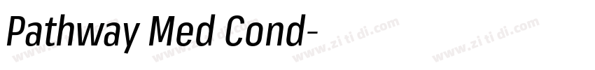 Pathway Med Cond字体转换 Pathway Med Cond字体转换